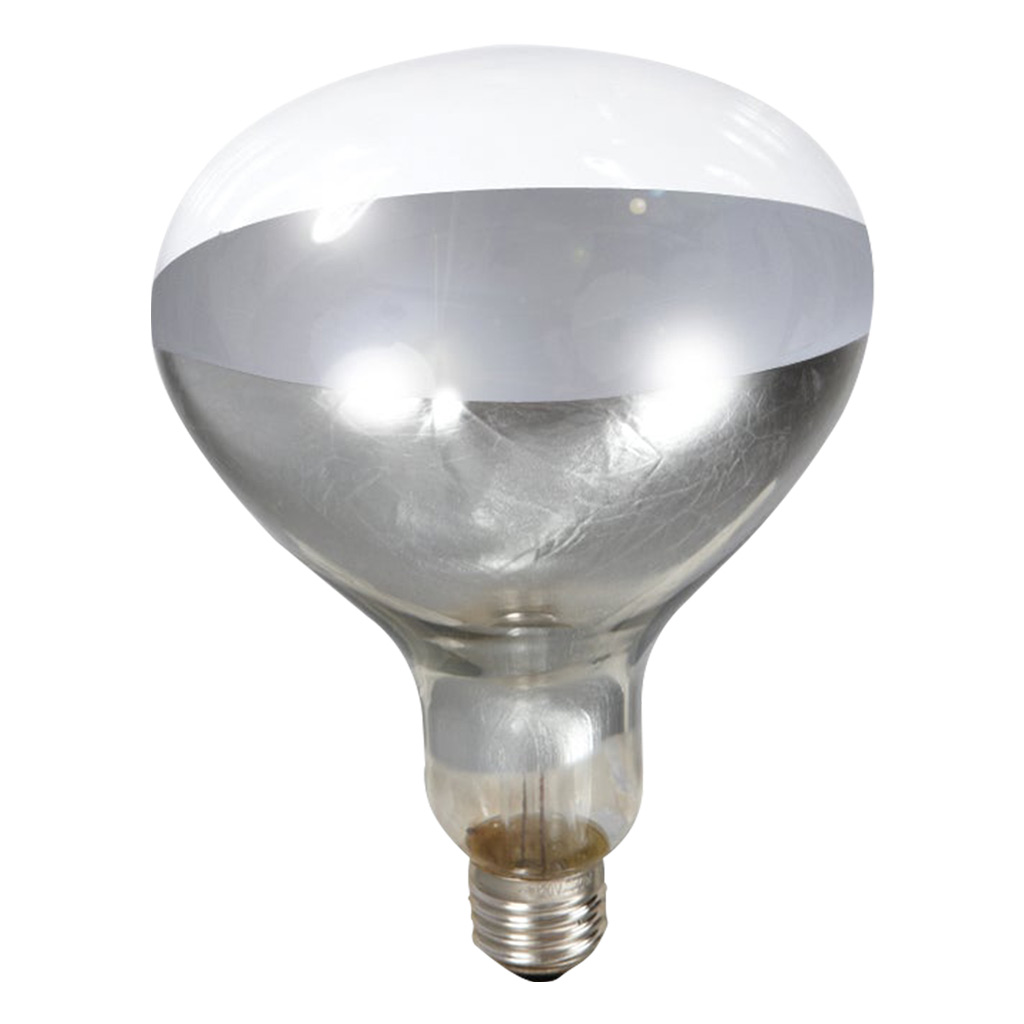 LITTLE GIANT HEAT BULB CLEAR 250W