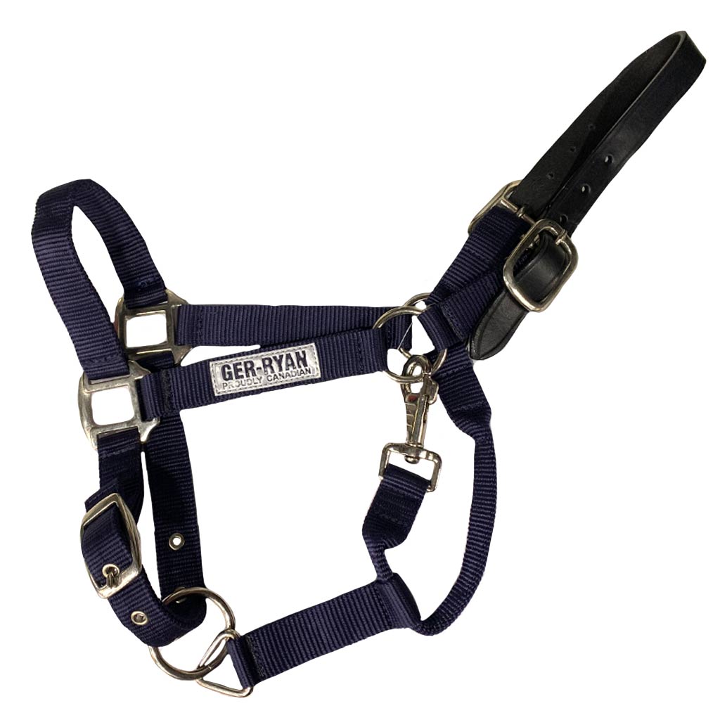 GER-RYAN NYLON HALTER W/ LEATHER BREAKAWAY FULL NAVY