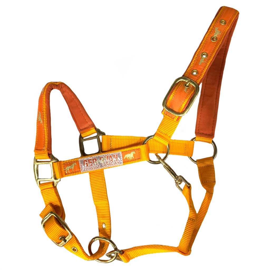 GER-RYAN NYLON HALTER PADDED HORSE PRINT COB ORANGE