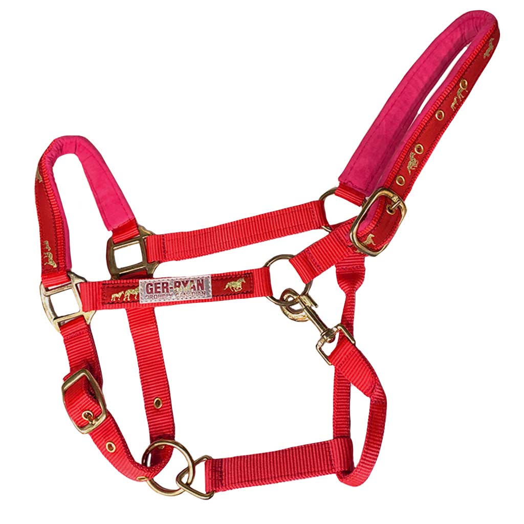 GER-RYAN NYLON HALTER PADDED HORSE PRINT COB RED