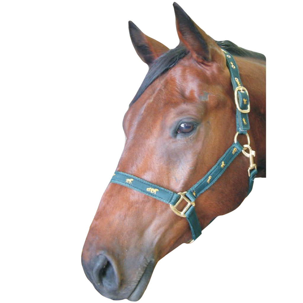 GER-RYAN NYLON HALTER PADDED HORSE PRINT COB GREEN