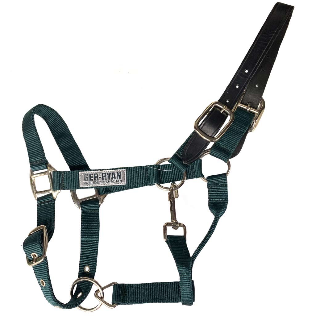 GER-RYAN NYLON HALTER W/ LEATHER BREAKAWAY PONY GREEN