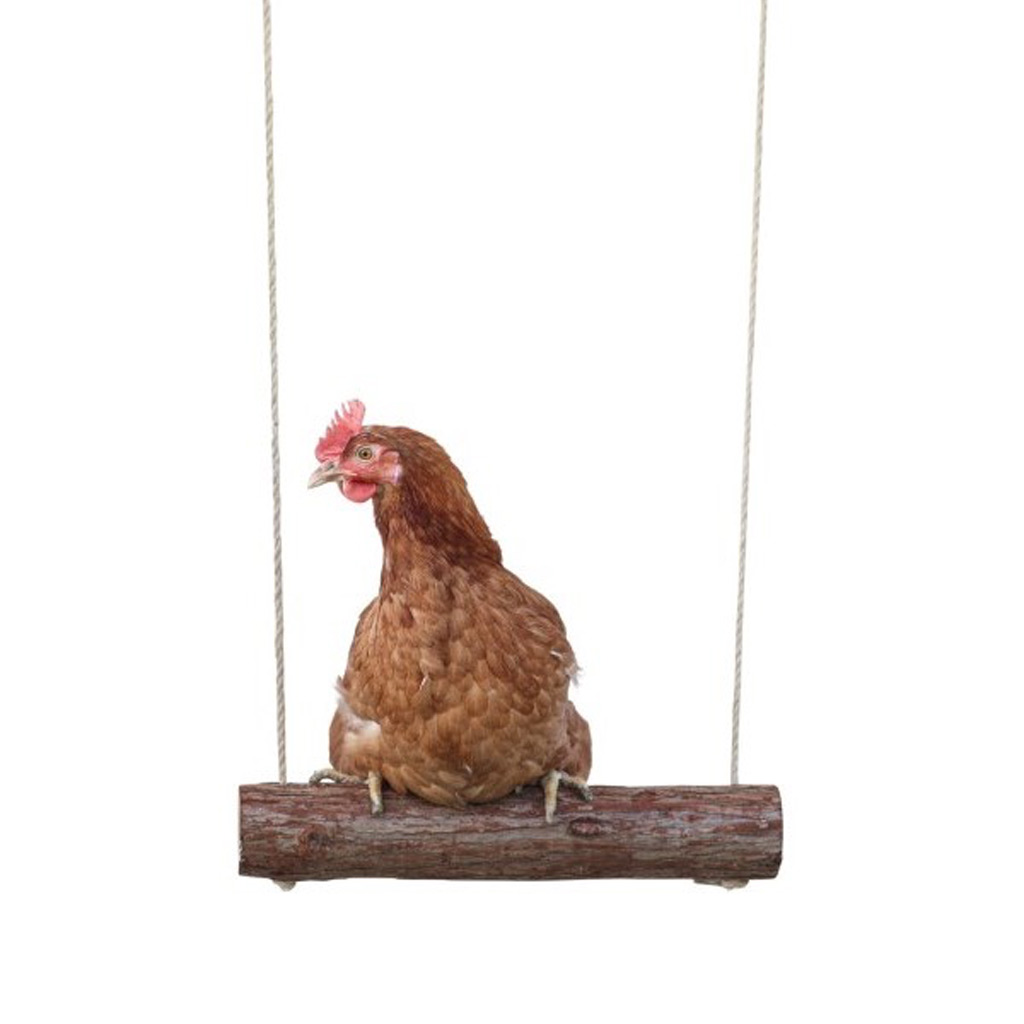 KERBL CHICKEN SWING