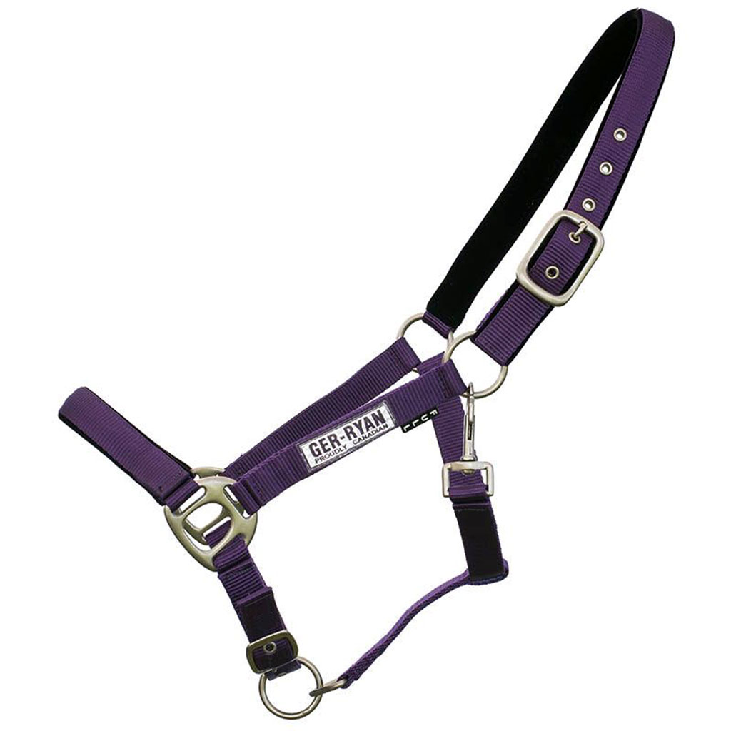 DUPL - GER-RYAN NYLON HALTER PADDED FULL PURPLE