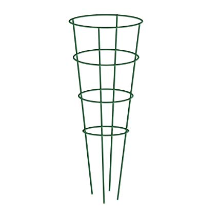 EVERGARDEN TOMATO CAGE PAINTED 42&quot; GREEN (FORMERLY GARDENSTAR)