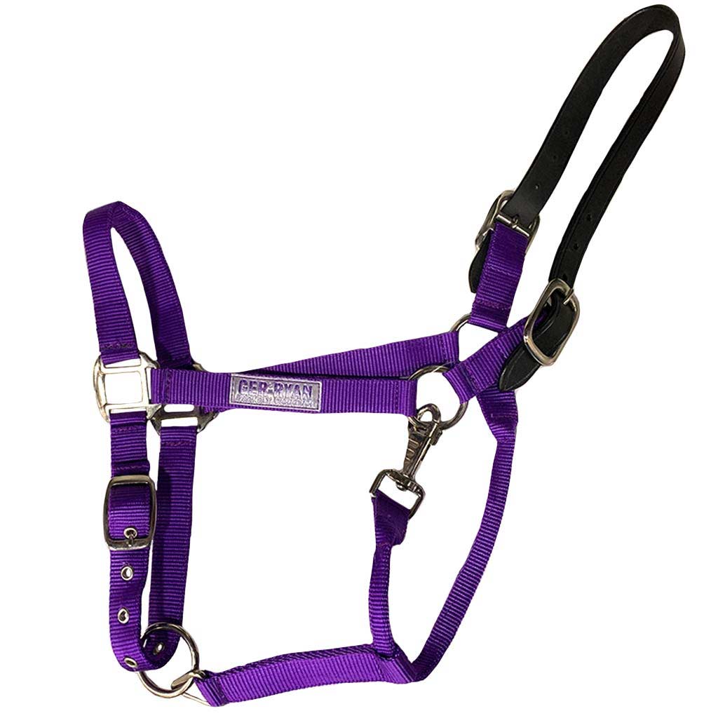 GER-RYAN NYLON HALTER W/ LEATHER BREAKAWAY PONY PURPLE