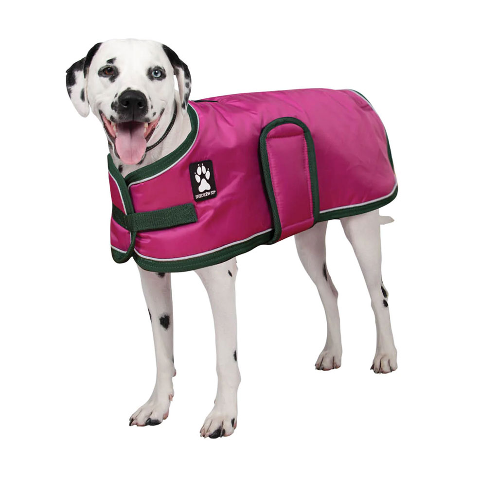 SHEDROW K9 VAIL DOG COAT FESTIVAL FUCHSIA L