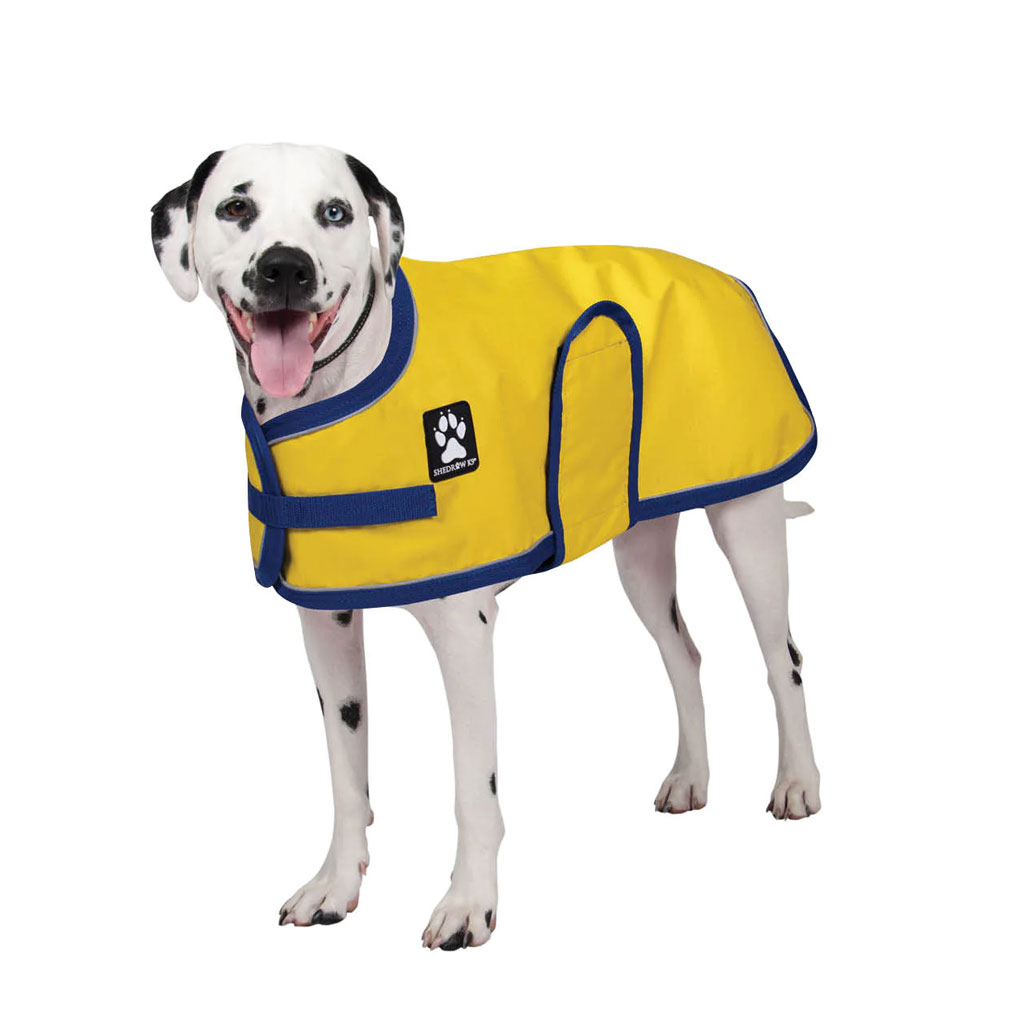 DV - SHEDROW K9 HARBOUR RAIN DANDELION M