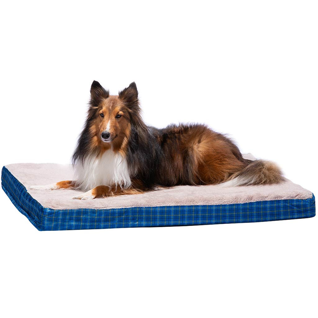 CARPENTER DAVIS PET BED 27&quot; x 36&quot; x 3&quot;