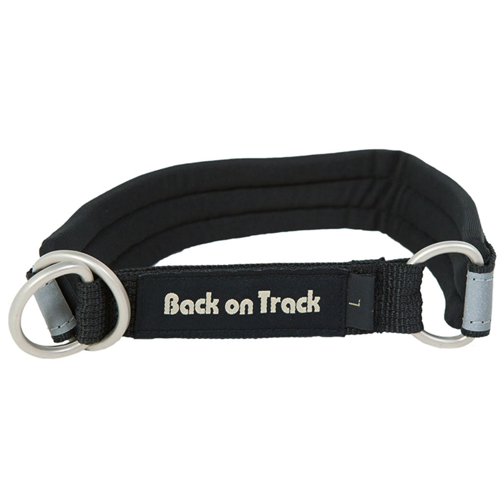 BOT DOG COLLAR BLACK/SILVER SM(41CM)