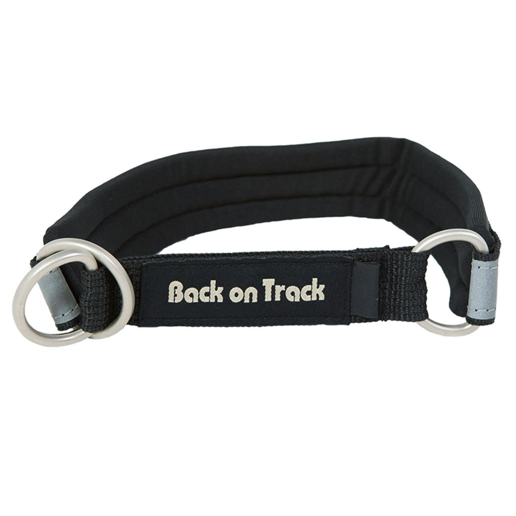 BOT DOG COLLAR BLACK/SILVER MED(44CM)