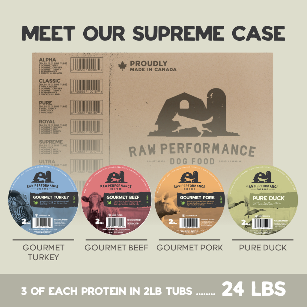 RAW PERFORMANCE VARIETY CASE SUPREME 24LB