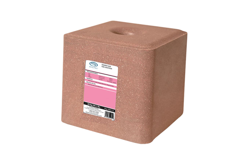 SALTEC IODIZED BLOCK 20KG (PINK)