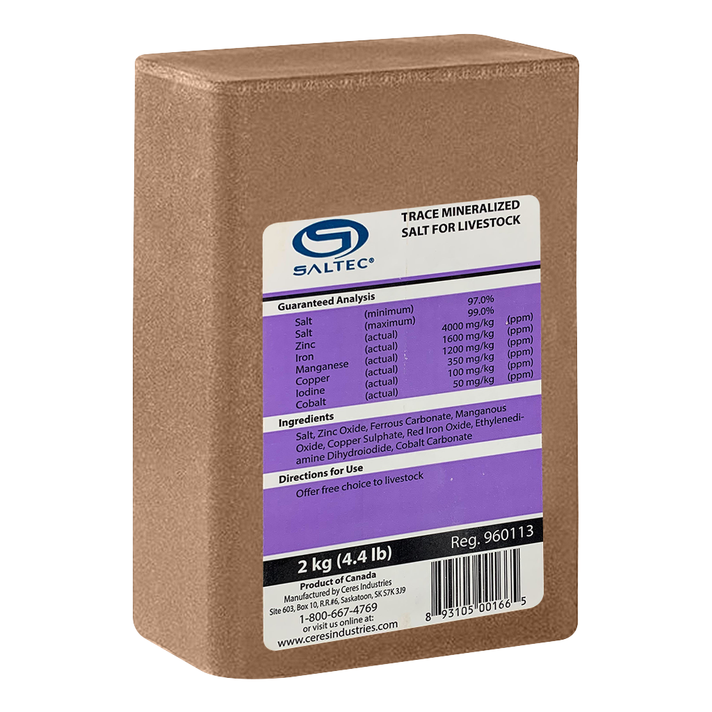 SALTEC TRACE MINERAL LICK 2KG (PURPLE)