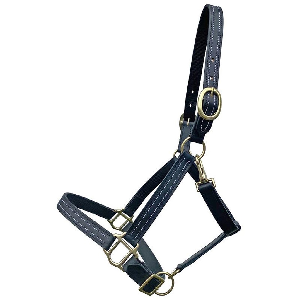 DMB - BROMONT LEATHER HALTER COB BLACK