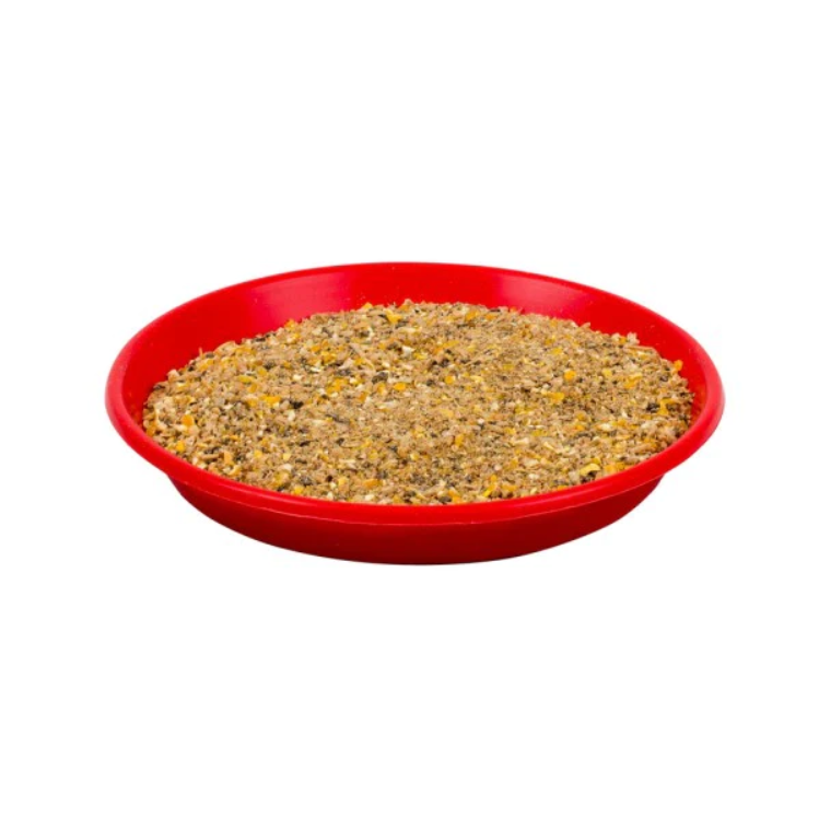 FEEDING TRAY FOR CHICKS 19CM (7.5&quot;) VP19