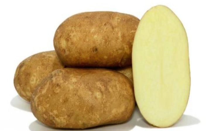URBAN BALCONIST GOLDRUSH RUSSET POTATOES 3LB