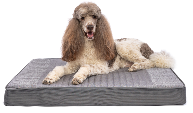 CARPENTER COLE PET BED 30&quot; x 40&quot; x 4&quot;