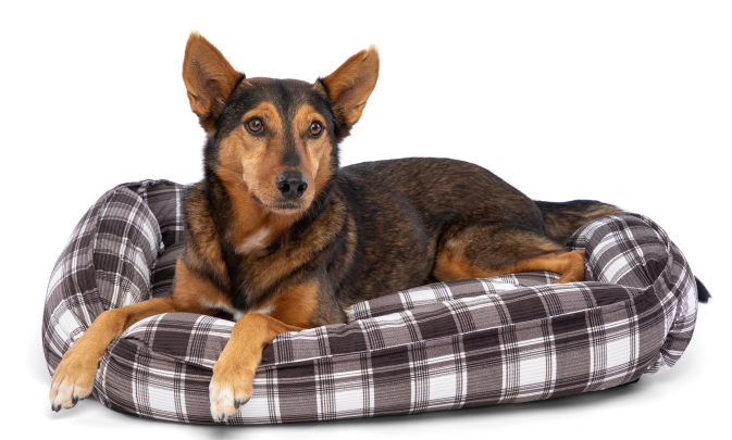 DMB - CARPENTER RICKY PET BED 20&quot; x 30&quot; x 8&quot;