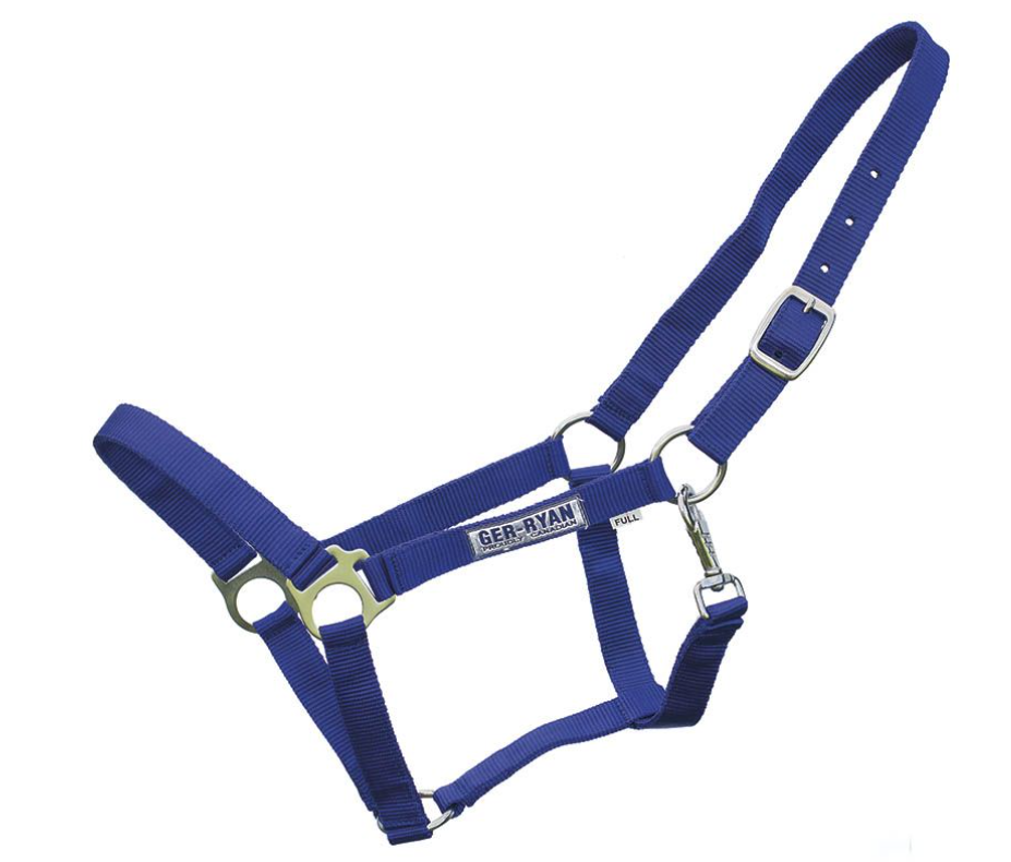 GER-RYAN NYLON HALTER COB ROYAL BLUE