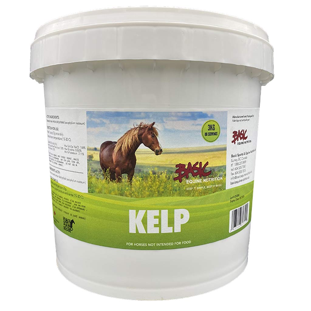 BASIC EQUINE KELP MEAL 1KG