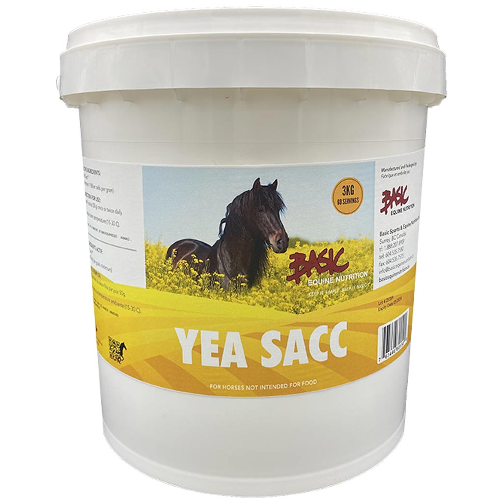 BASIC EQUINE YEA-SACC 5KG