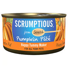 SCRUMPTIOUS FROM SCRATCH CAT PUMPKIN PATE 79G