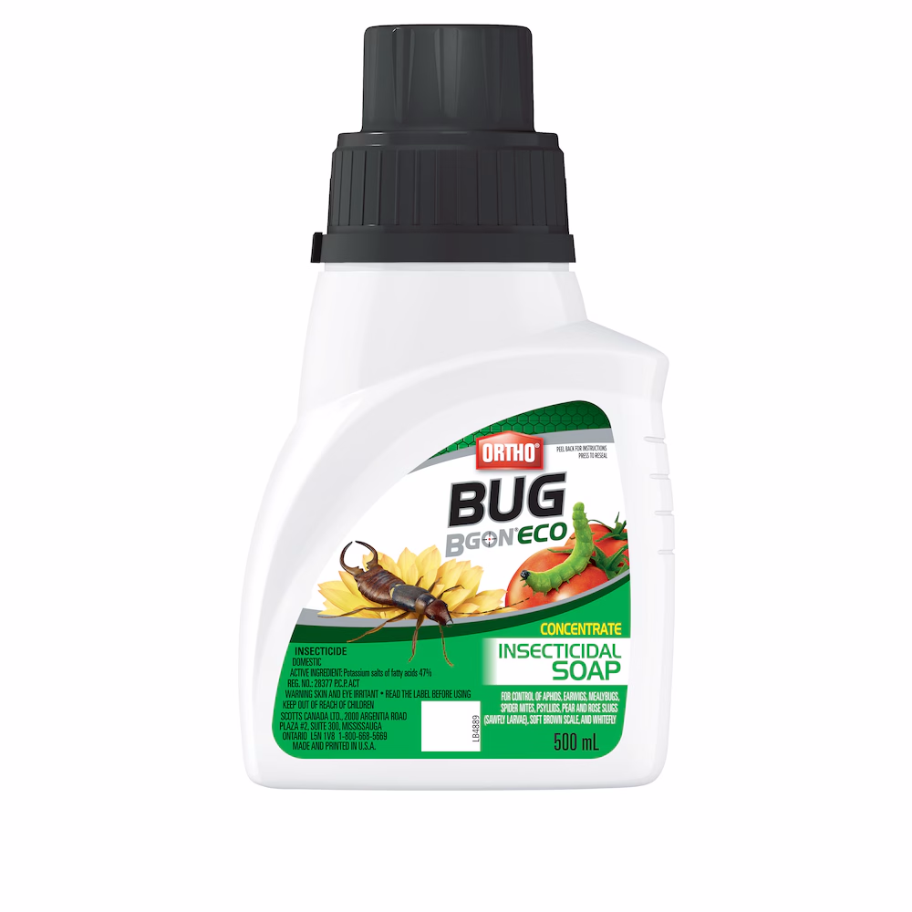ORTHO BUG B GON ECO INSECTICIDAL SOAP CONCENTRATE 500ML
