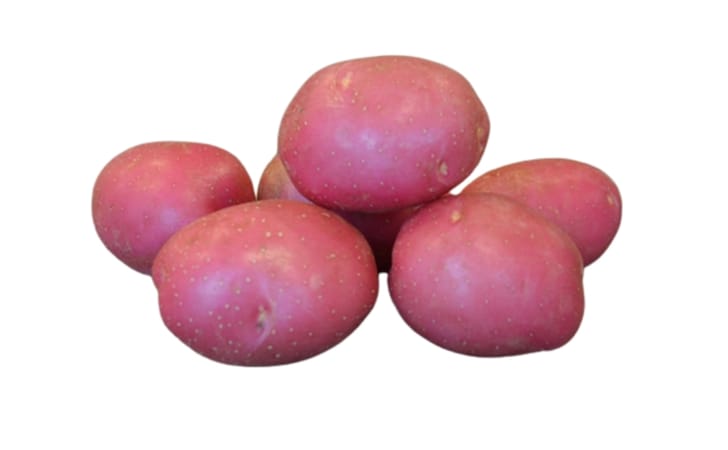 URBAN BALCONIST CERATA KWS POTATOES 3LB