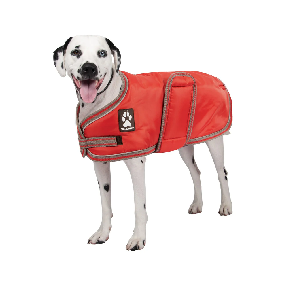 SHEDROW VAIL DOG COAT EQUESTRIAN RED (M)