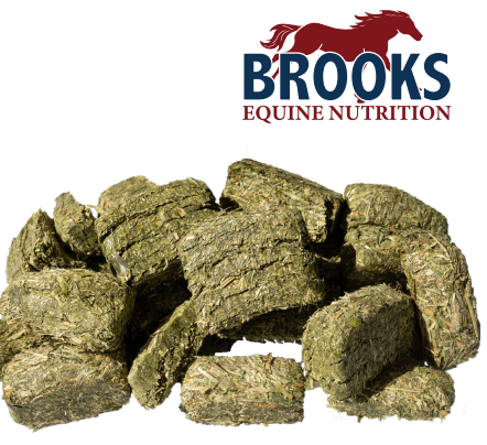 BROOKS GRAND-EQUBE ALFALFA TIMOTHY LONGFIBE HAY CUBES 20KG