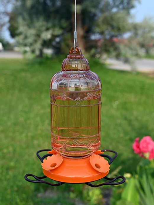 PINEBUSH ORIOLE GLASS BIRD CAGE ANTIQUE STYLE FEEDER 9.5&quot;