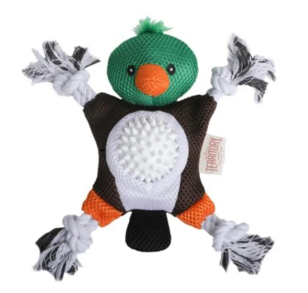 SB - ORIGINAL TERRITORY 2 IN 1 MALLARD TOY 