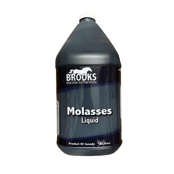 BROOKS MOLASSES JUG 1GAL