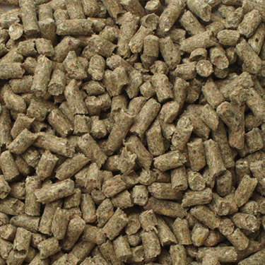PURINA MINI PIG CHOW 22.68KG