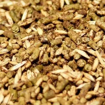 BROOKS PHASE FOUR TEXTURED 25KG