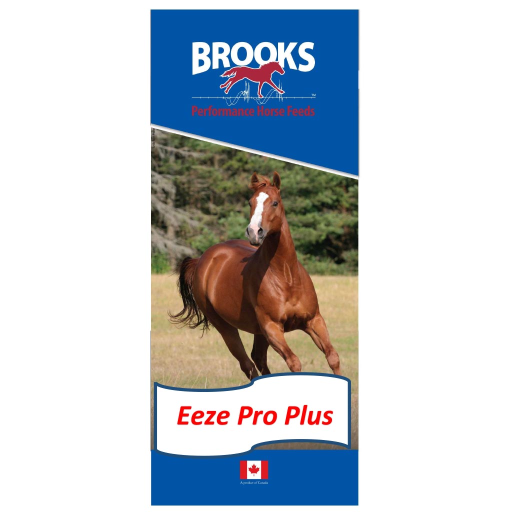 DR - BROOKS EEZE PRO PLUS TEXTURED 22.68KG