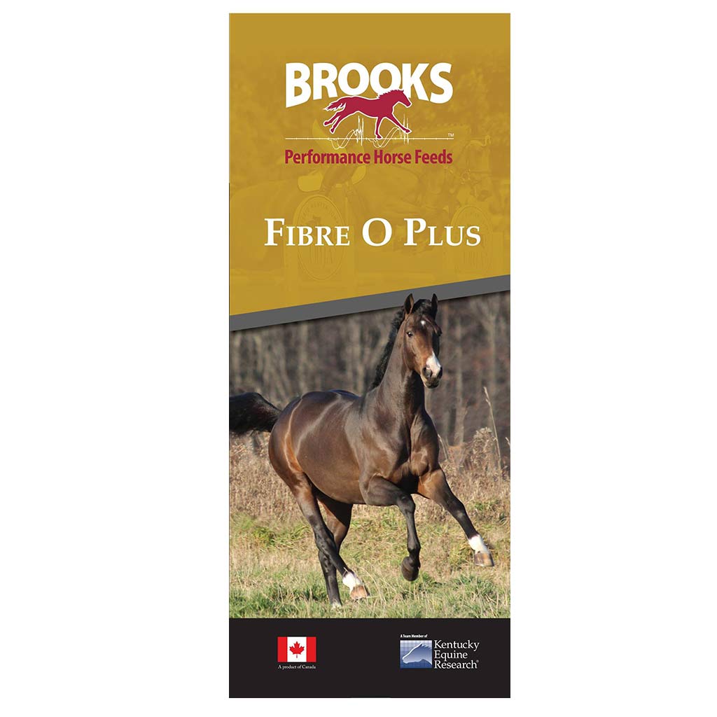 BROOKS FIBRE OMEGA PLUS 25KG