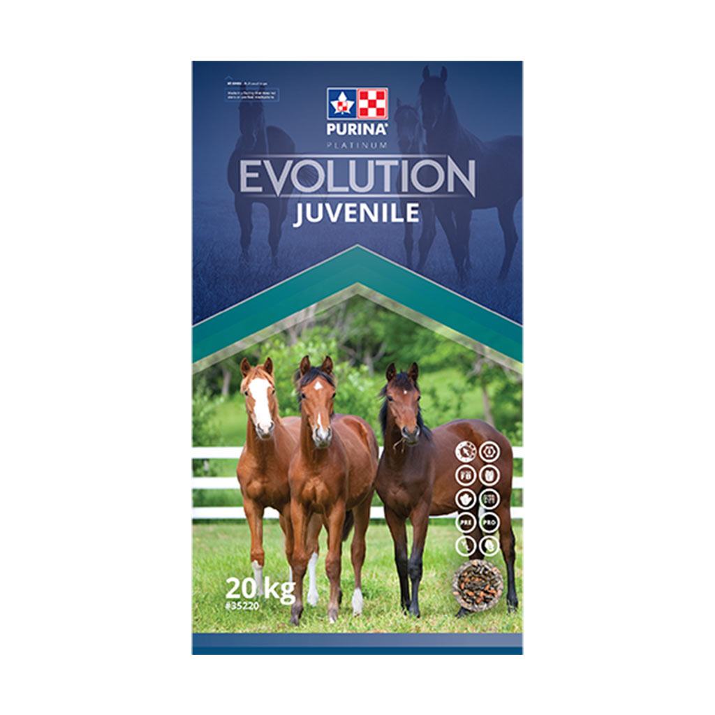 PURINA EVOLUTION JUVENILE TEXT 20KG