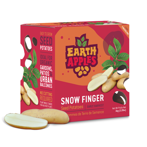 [10079098] EARTH APPLES SNOW FINGER SEED POTATOES 2.2LBS