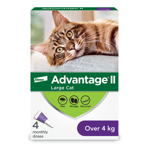[10080194] ADVANTAGE II CAT 4 DOSE OVER 4KG