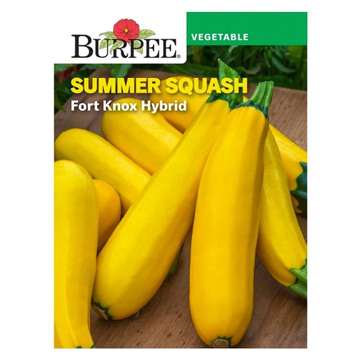 [10081104] BURPEE SUMMER SQUASH - FORT KNOX HYBRID
