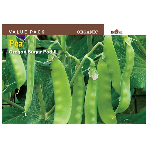 [10081134] BURPEE PEA VALUE PACK - OREGON SUGAR POD II
