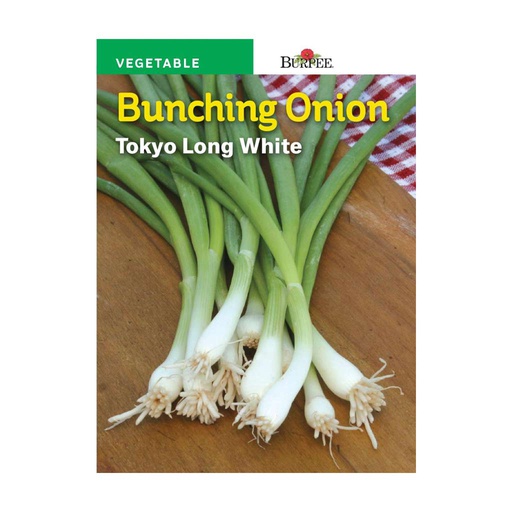 [10081140] BURPEE BUNCHING ONION - TOKYO LONG WHITE