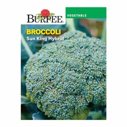 [10081172] BURPEE BROCCOLI - SUN KING HYBRID