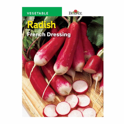 [10081206] BURPEE RADISH - FRENCH DRESSING