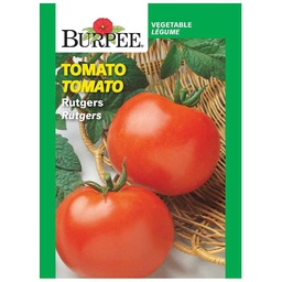 [10081208] BURPEE TOMATO - RUTGERS