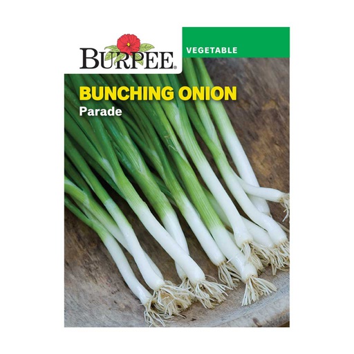 [10081218] BURPEE BUNCHING ONION - PARADE