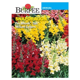 [10081262] BURPEE SNAPDRAGON - FORDHOOK FAVOURITES MIXED COLOURS 