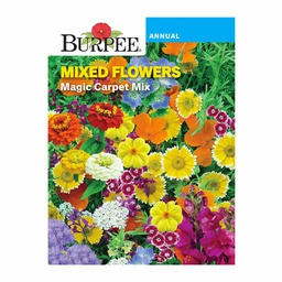 [10081312] BURPEE MIXED FLOWERS - MAGIC CARPET MIX